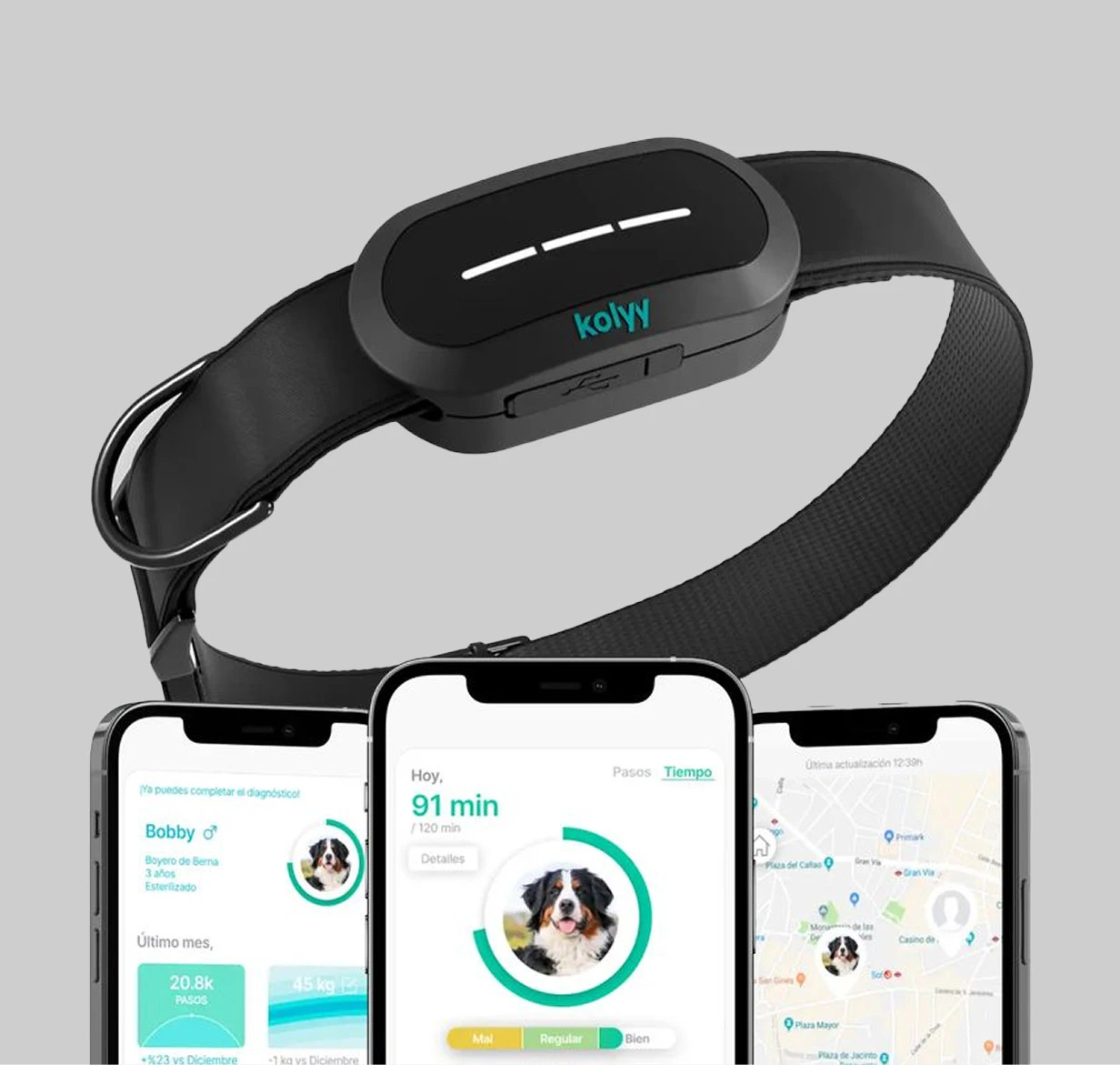 Kolyy | Collar inteligente para perros